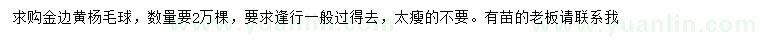 求購金邊黃楊毛球