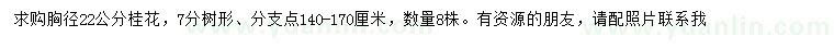求購胸徑22公分桂花