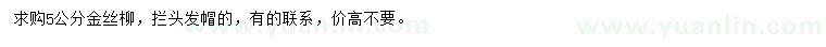 求購5公分金絲柳