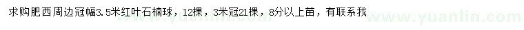 求購冠幅3.5米紅葉石楠球