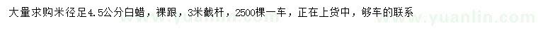 求購米徑足4.5公分白蠟