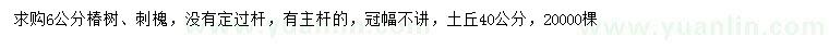 求購6公分椿樹、刺槐