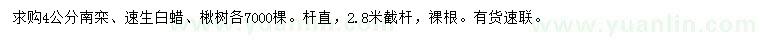 求購南欒、速生白蠟、楸樹