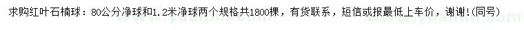 求購(gòu)80、1.2米紅葉石楠球