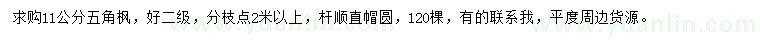 求購11公分五角楓