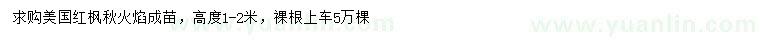 求購高1-2米美國紅楓秋火焰