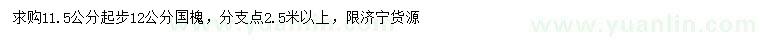 求購11.5公分起步12公分國槐
