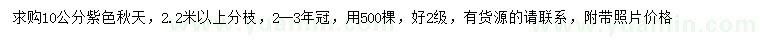 求購10公分紫色秋天