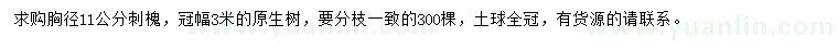 求購胸徑11公分刺槐