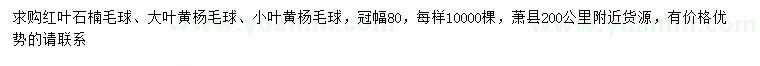 求購(gòu)紅葉石楠毛球、大葉黃楊毛球、小葉黃楊毛球