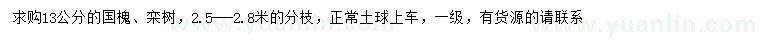 求購13公分國槐、欒樹