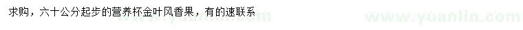 求購(gòu)60公分以上金葉風(fēng)香果
