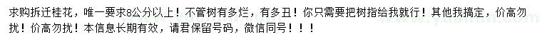 求購(gòu)8公分以上桂花