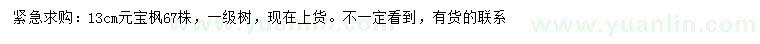 求購13公分元寶楓