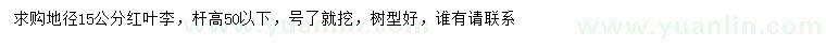 求購地徑15公分紅葉李