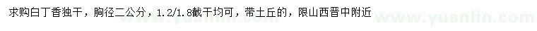 求購(gòu)胸徑2公分白丁香