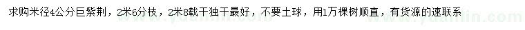 求購米徑4公分巨紫荊