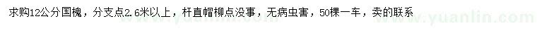 求購12公分國槐