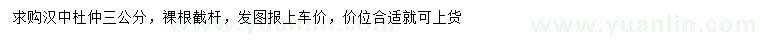 求購(gòu)3公分杜仲