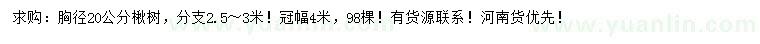 求購胸徑20公分楸樹