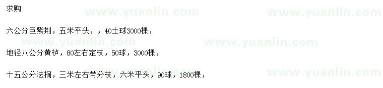 求購巨紫荊、黃櫨、法桐