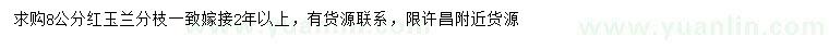 求購8公分紅玉蘭