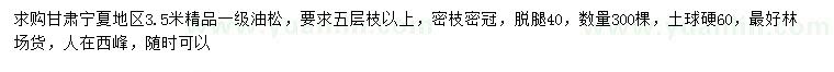 求購3.5米油松