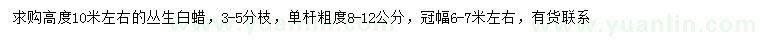 求購高10米左右叢生白蠟