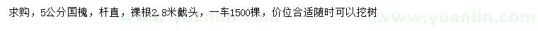 求購5公分國槐