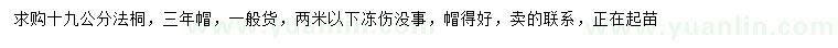 求購19公分法桐