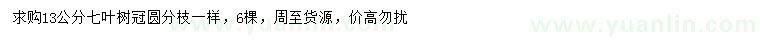 求購13公分七葉樹