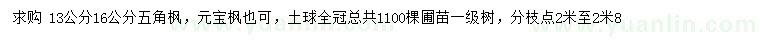 求購13、16公分五角楓、元寶楓