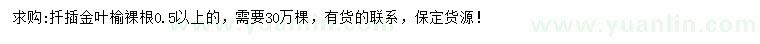 求購0.5公分以上金葉榆