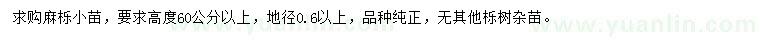 求購高60公分以上麻櫟小苗