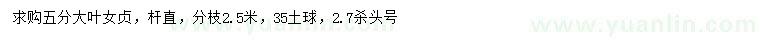 求購5公分大葉女貞