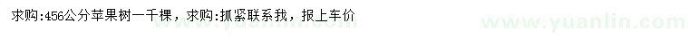 求購4、5、6公分蘋果樹