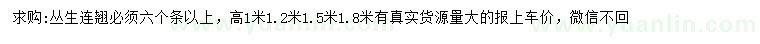 求購高1、1.2、1.5、1.8米叢生連翹