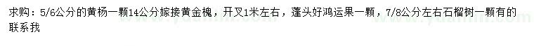 求購黃楊、黃金槐、鴻運果等