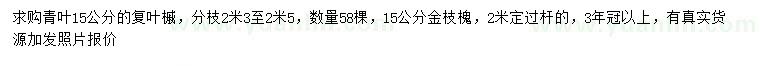 求購15公分青葉復葉槭、金枝槐