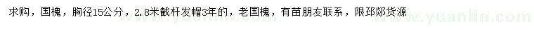 求購胸徑15公分國槐