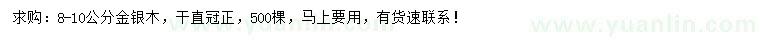 求購8-10公分金銀木