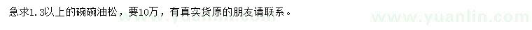 求購1.3米以上油松