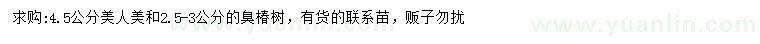 求購(gòu)4.5公分美人梅、2.5-3公分臭椿