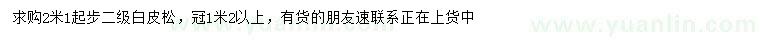 求購2.1米以上白皮松