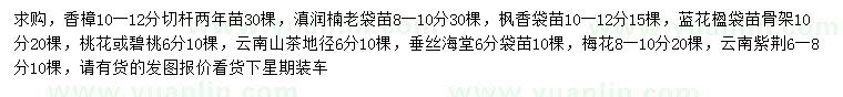 求購香樟、滇潤楠、楓香等