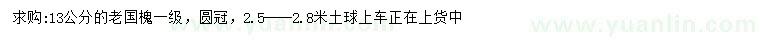 求購13公分老國槐