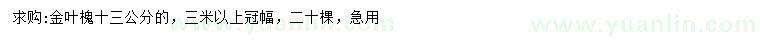 求購13公分金葉槐