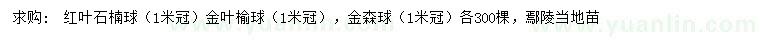 求購紅葉石楠球、金葉榆球、金森女貞球