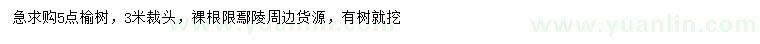 求購(gòu)5公分榆樹