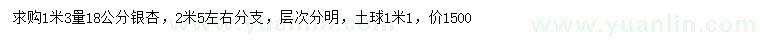 求購1.3米量18公分銀杏